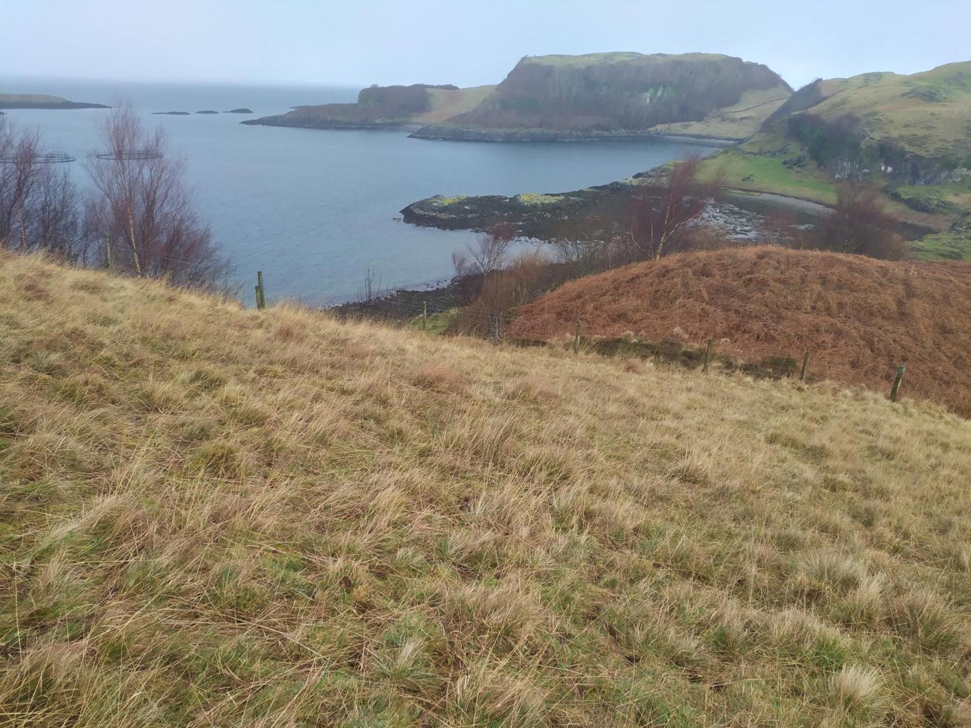 Ballimackillichan Croft Isle of Lismore Kültér fotó